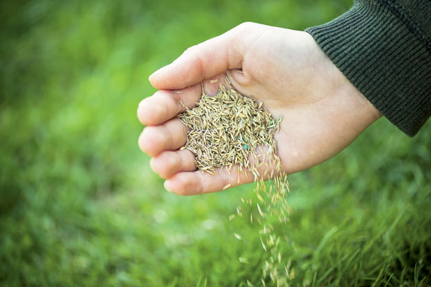 За почетак прихрана и проветравање травњака
